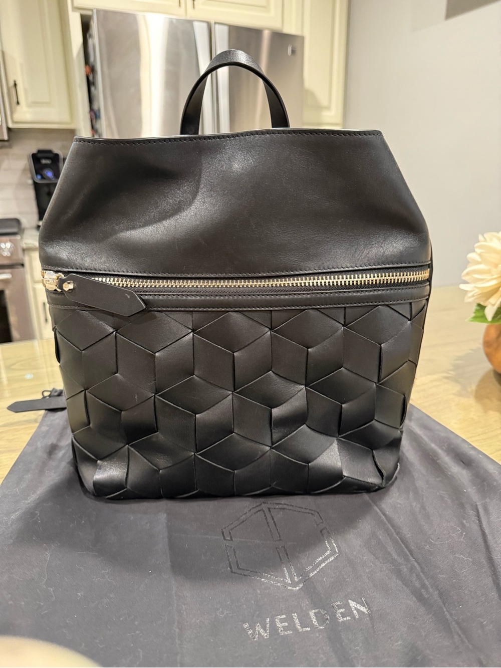 Welden Black Leather Woven Backpack/Purse NWOT